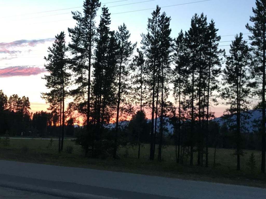 Rose Cottage Bed & Breakfast Вейлмаунт Экстерьер фото