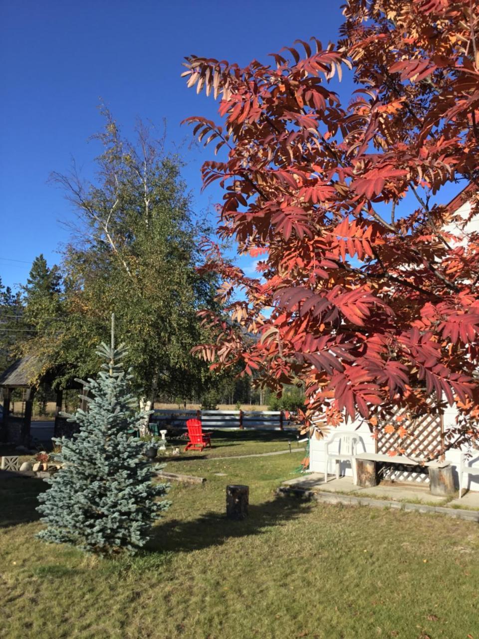 Rose Cottage Bed & Breakfast Вейлмаунт Экстерьер фото